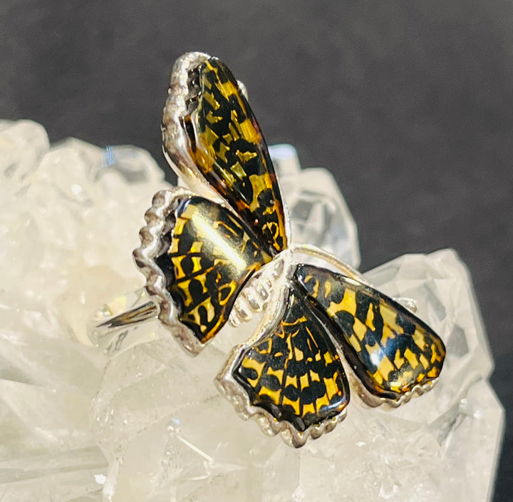 Amber Perching Butterfly Ring￼ - Floating Lotus