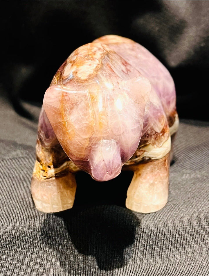 Amethyst Bear - Floating Lotus