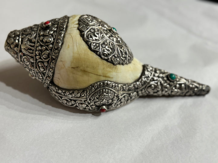 Conch Shell Horn - Floating Lotus