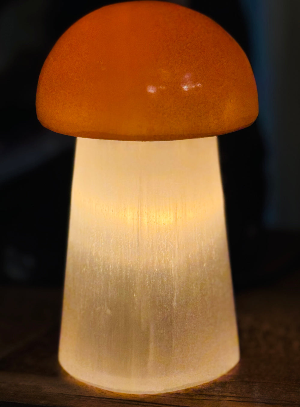 Mushroom Selenite Lamp - Floating Lotus
