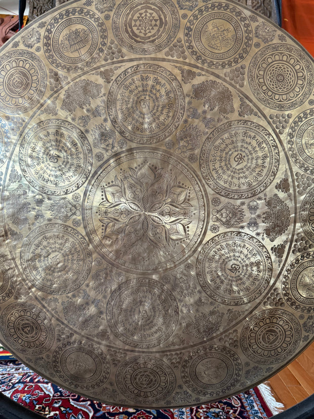 Untitled Oct10_1729 Floating Lotus