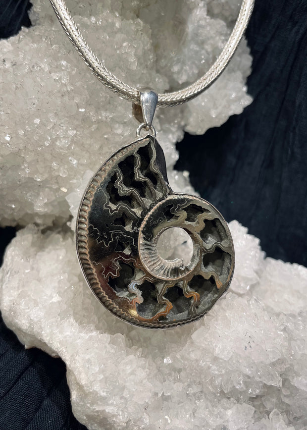Spiral of Creation Pyritized Ammonite Pendant